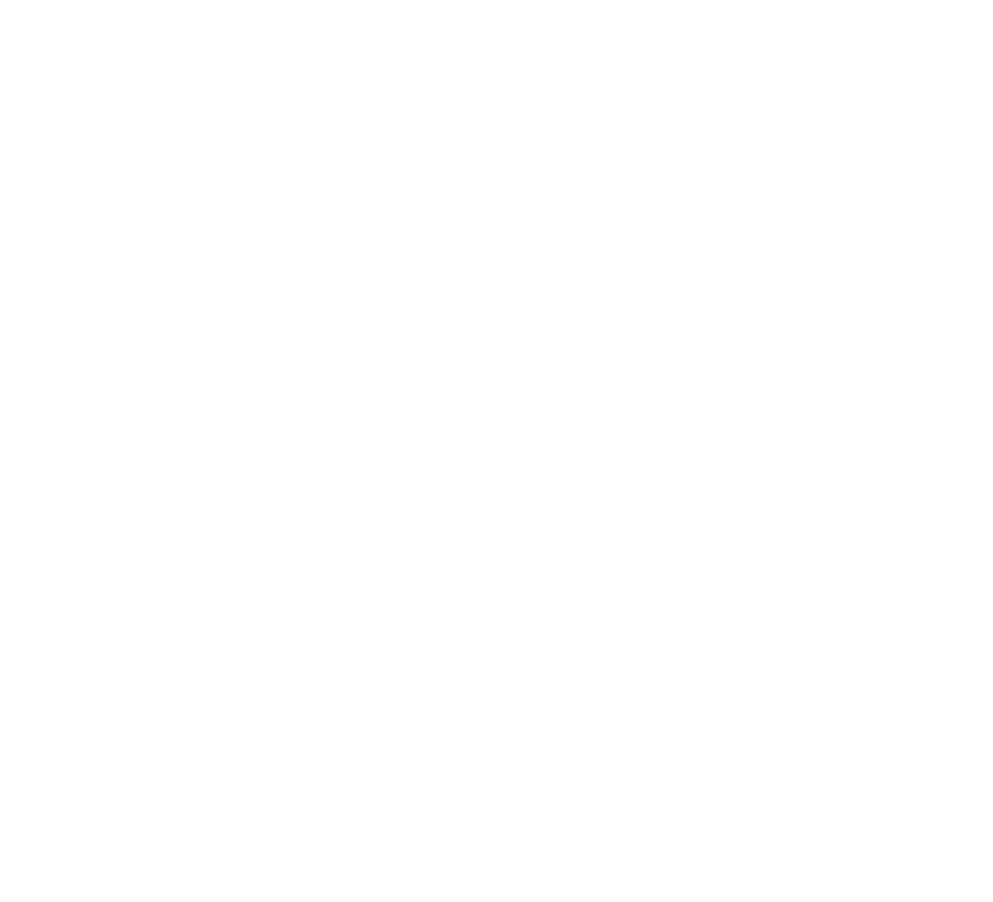 Logo blanc Confort Clim Provence transparent